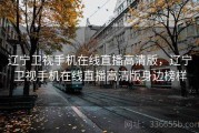 辽宁卫视手机在线直播高清版，辽宁卫视手机在线直播高清版身边榜样