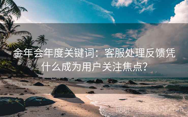 金年会年度关键词：客服处理反馈凭什么成为用户关注焦点？
