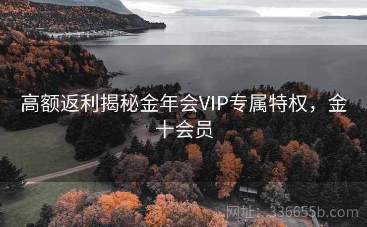 高额返利揭秘金年会VIP专属特权，金十会员